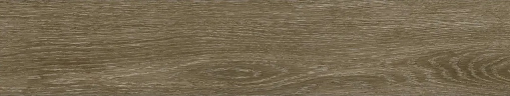 LEGNO ANTICO 22,5X119,5